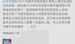 锤子娱乐爆料是真的吗,锤子娱乐爆料真实性揭秘